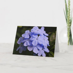  Blauwe Tropische Bloemen Noteer Kaart
