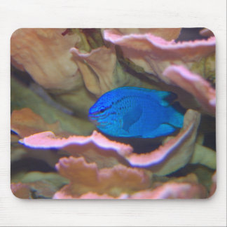 Blauwe tropische vis muismat