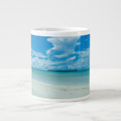 Blauwe tropische zeeduivel, Palau Grote Koffiekop (Voorkant)