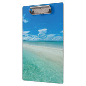 Blauwe tropische zeeduivel, Palau Klembord (Links)