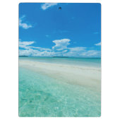 Blauwe tropische zeeduivel, Palau Klembord (Achterkant)