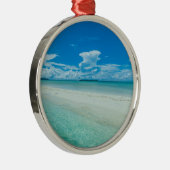 Blauwe tropische zeeduivel, Palau Metalen Ornament (Rechts)