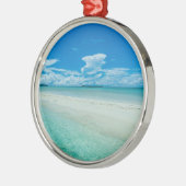 Blauwe tropische zeeduivel, Palau Metalen Ornament (Links)