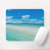 Blauwe tropische zeeduivel, Palau Muismat (Met muis)