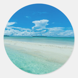Blauwe tropische zeeduivel, Palau Ronde Sticker