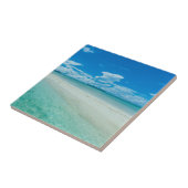 Blauwe tropische zeeduivel, Palau Tegeltje (Zijkant)