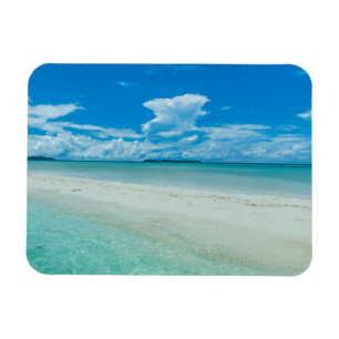 Blauwe tropische zeezicht, Palau Magneet