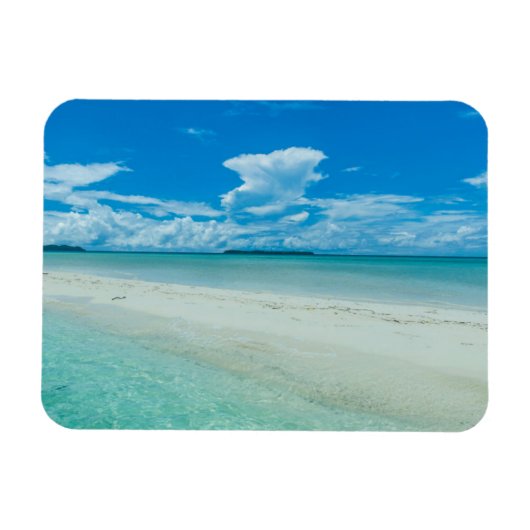 Blauwe tropische zeezicht, Palau Magneet (Horizontaal)