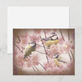  blauwe trottoirs briefkaart (Voorkant / Achterkant)