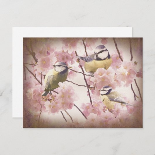  blauwe trottoirs briefkaart (Voorkant / Achterkant)