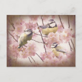  blauwe trottoirs briefkaart (Voorkant)