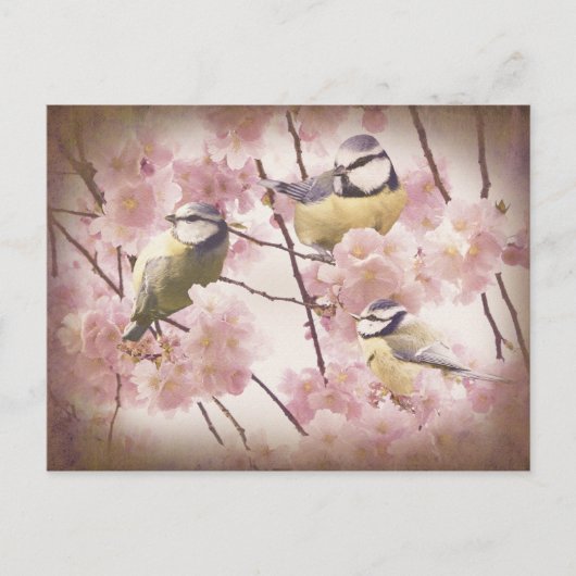  blauwe trottoirs briefkaart (Voorkant)