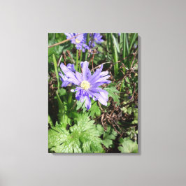 Blauwe tuinbloem canvas afdruk