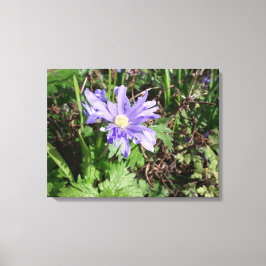 Blauwe tuinbloem canvas afdruk