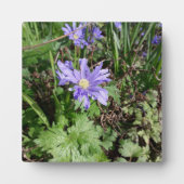 Blauwe tuinbloem fotoplaat (Voorkant)