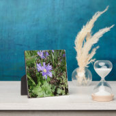 Blauwe tuinbloem fotoplaat (Insitu)