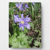 Blauwe tuinbloem fotoplaat (voorkant)