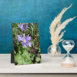 Blauwe tuinbloem fotoplaat