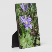 Blauwe tuinbloem fotoplaat (Zijkant)