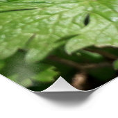 Blauwe tuinbloem perfect poster (Hoek)