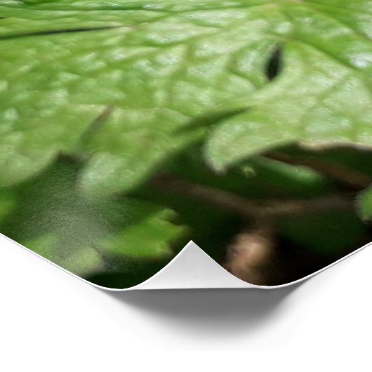 Blauwe tuinbloem perfect poster (Hoek)