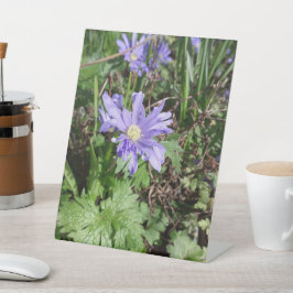 Blauwe tuinbloem reclamebord met voetstuk