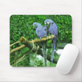 Blauwe TweelingPapegaaien Muismat (Met muis)
