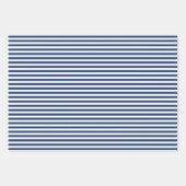 Blauwe twijgen & roze bessen Kerstpatronen Inpakpapier Vel (Voorkant 2)