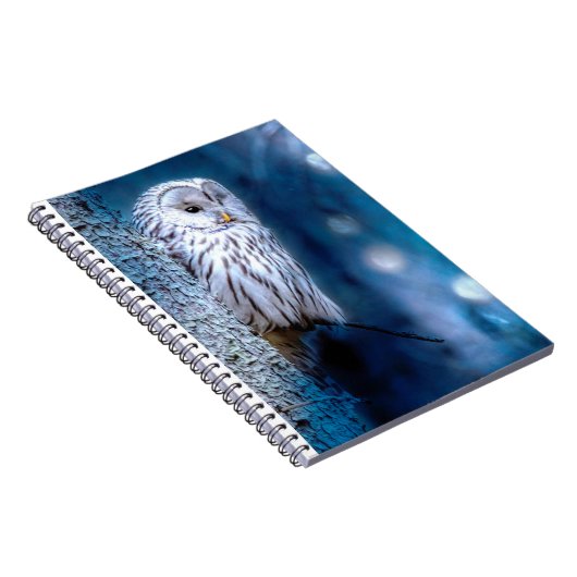 Blauwe uil notitieboek (Rechterzijde)