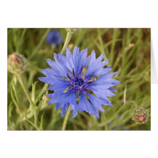 Blauwe ventilator