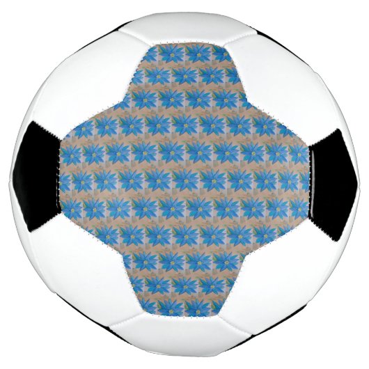 Blauwe ventilator voetbal (Gedraaid)