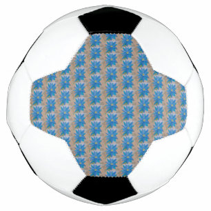 Blauwe ventilator voetbal