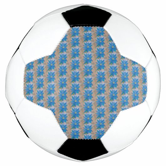 Blauwe ventilator voetbal (Voorkant)