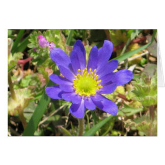 Blauwe ventilatorkaart