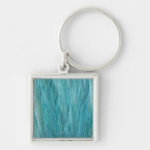 Blauwe veren sleutelhanger