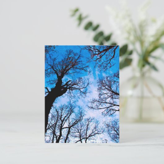 BLAUWE VERMOGEN VAN DE TREE BRIEFKAART (Staand voorkant)