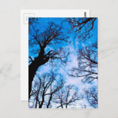 BLAUWE VERMOGEN VAN DE TREE BRIEFKAART (Voorkant / Achterkant)