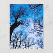 BLAUWE VERMOGEN VAN DE TREE BRIEFKAART (Voorkant)