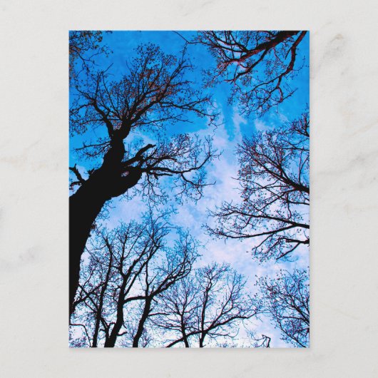 BLAUWE VERMOGEN VAN DE TREE BRIEFKAART (Voorkant)