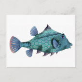 Blauwe Vintage Vis Briefkaart (Voorkant)