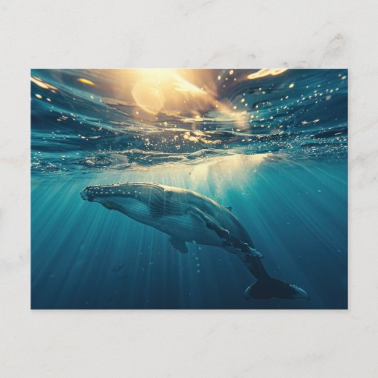 Blauwe vinvis onder water briefkaart (Voorkant)