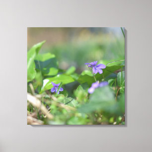 Blauwe Violet Floral botanische fotografie Canvas Afdruk