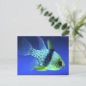 Blauwe vis briefkaart (Staand voorkant)