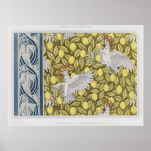  Blauwe Vis, Cockatoos & Citroenen Poster (Voorkant)