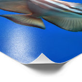 Blauwe vis foto afdruk (Hoek)