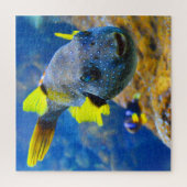 Blauwe vis, gele vinnen en geborsteld legpuzzel (Verticaal)