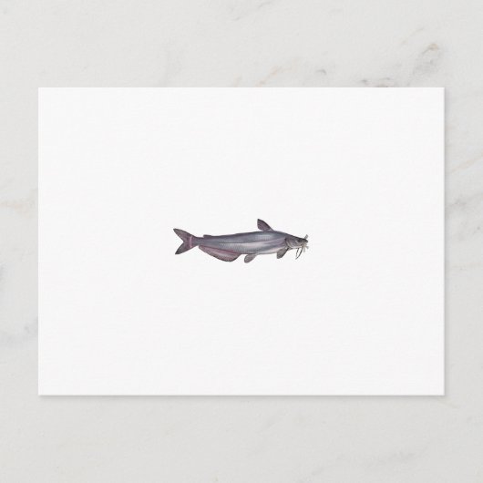 Blauwe vis (zonder titel) briefkaart (Voorkant)