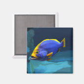 Blauwe vismagneet magneet (Voorkant / Achterkant)