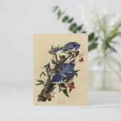 Blauwe Vlaamse gaai Briefkaart (Staand voorkant)