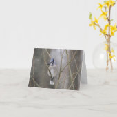 Blauwe Vlaamse gaai in de Sneeuw Kaart (Gele Bloem)